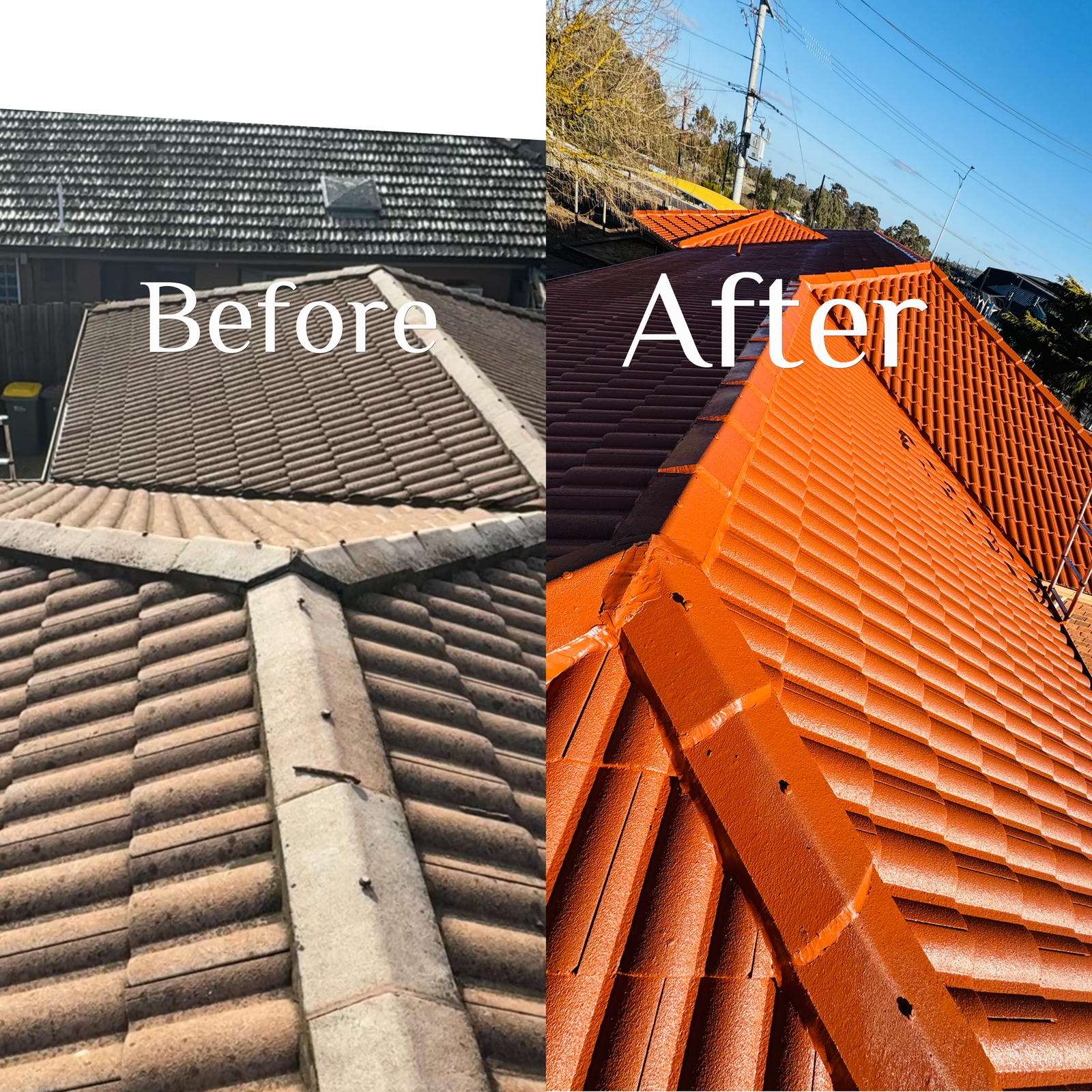 Roof Restoration Project