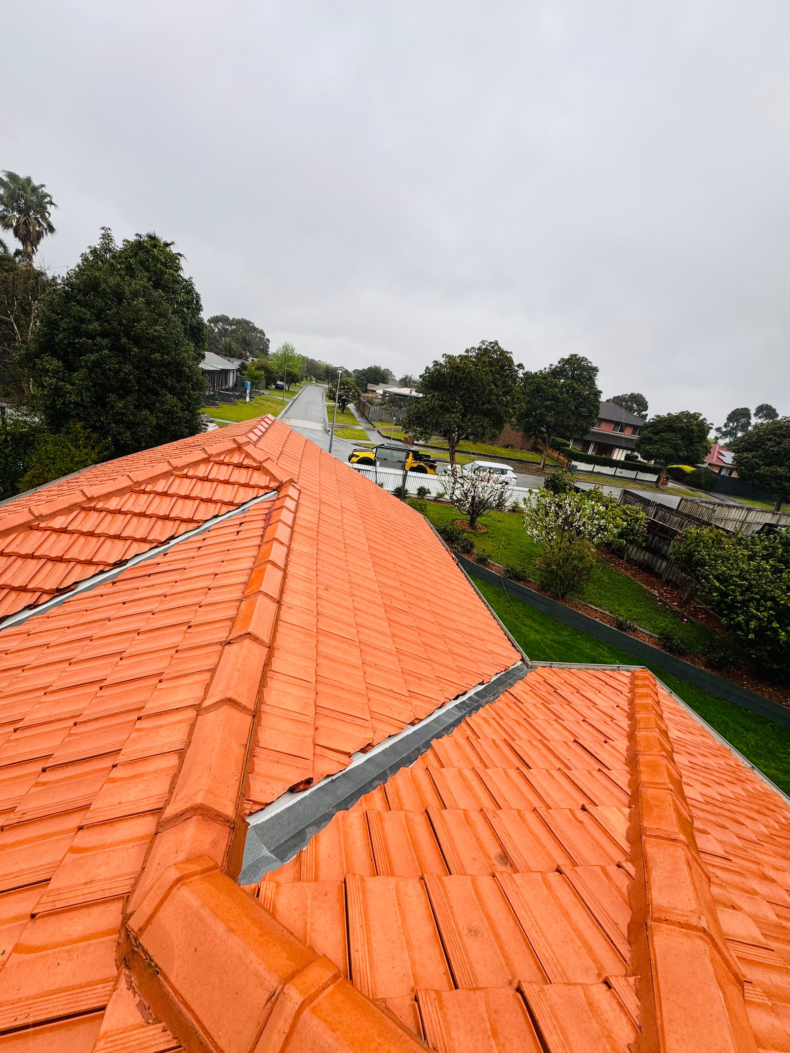 Roof Restoration Project