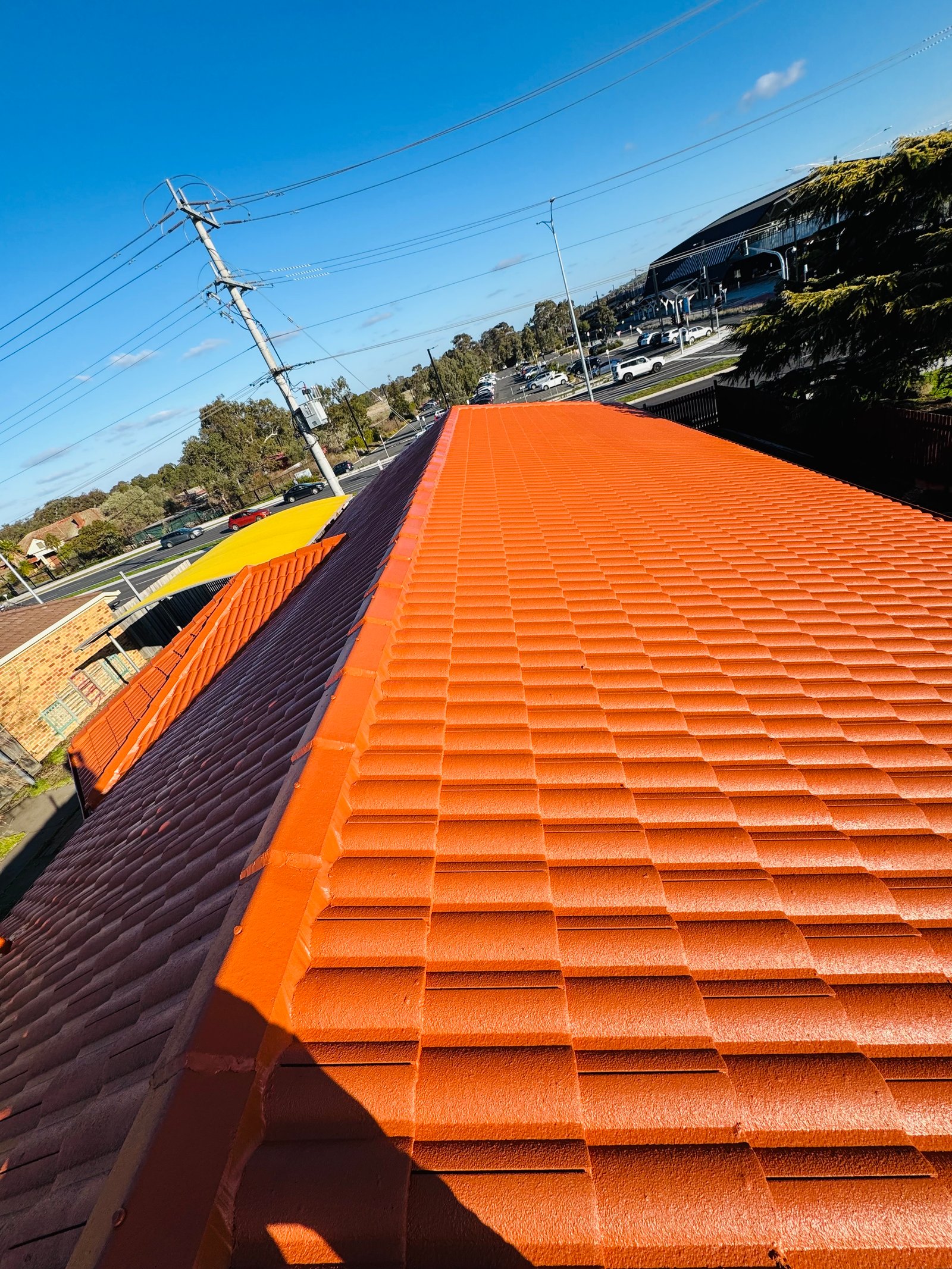 Roof Restoration Project