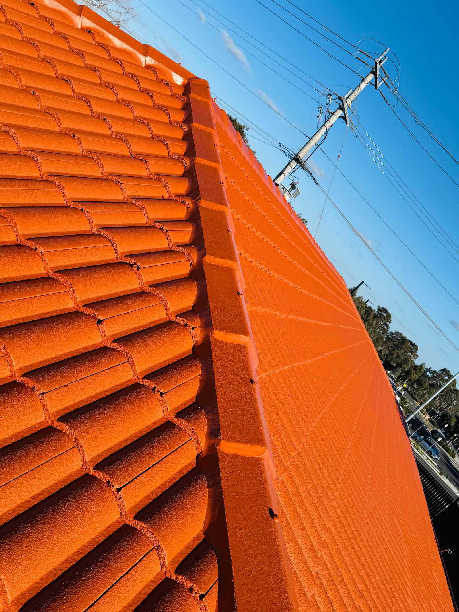 Roof Restoration Project