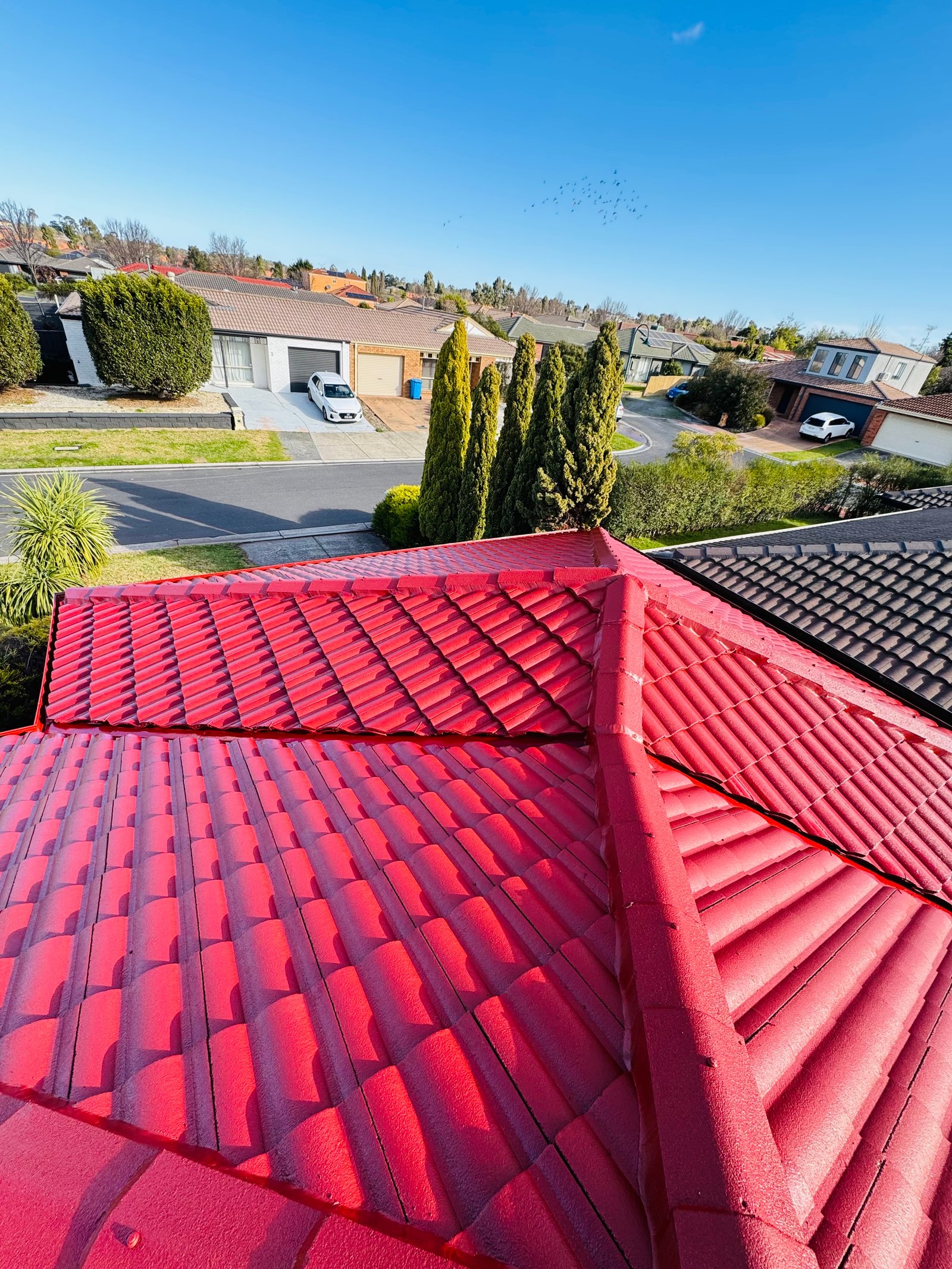 Roof Restoration Project