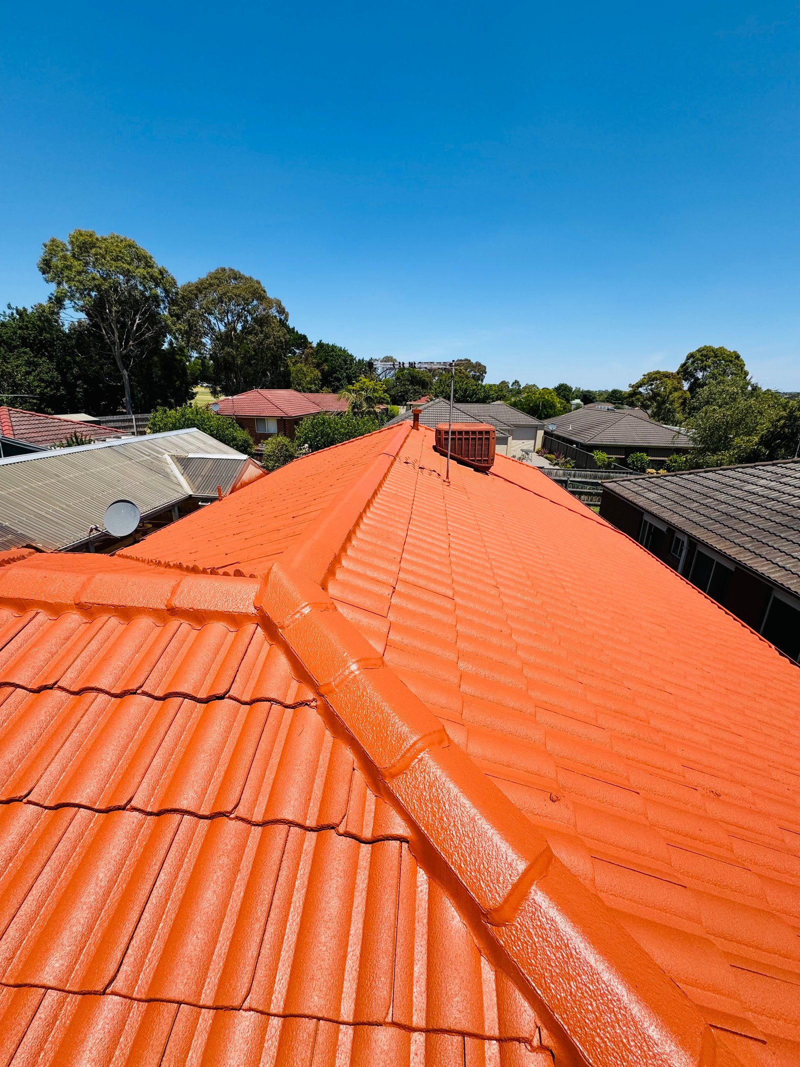 Roof Painting Project