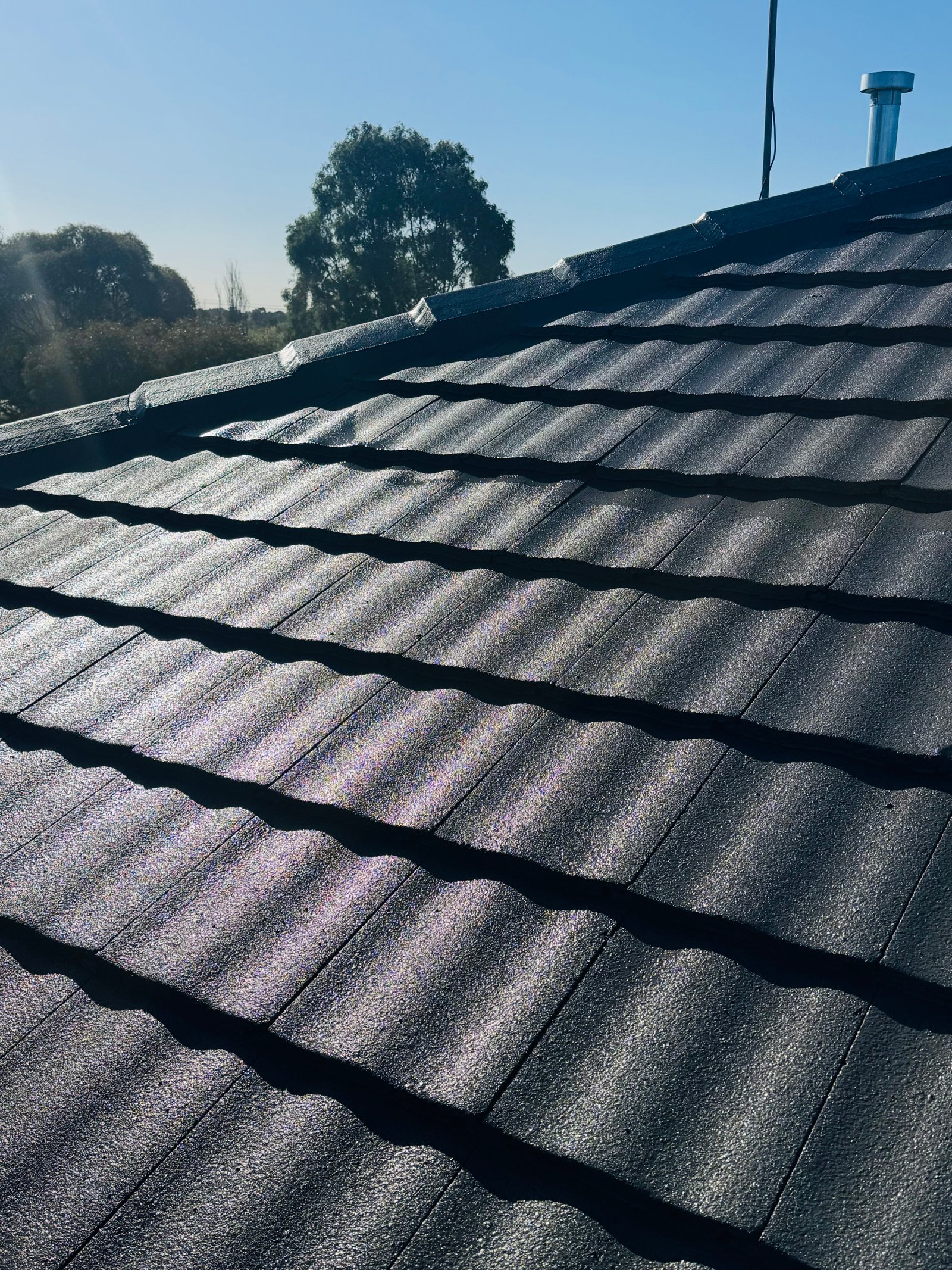 Roof Painting