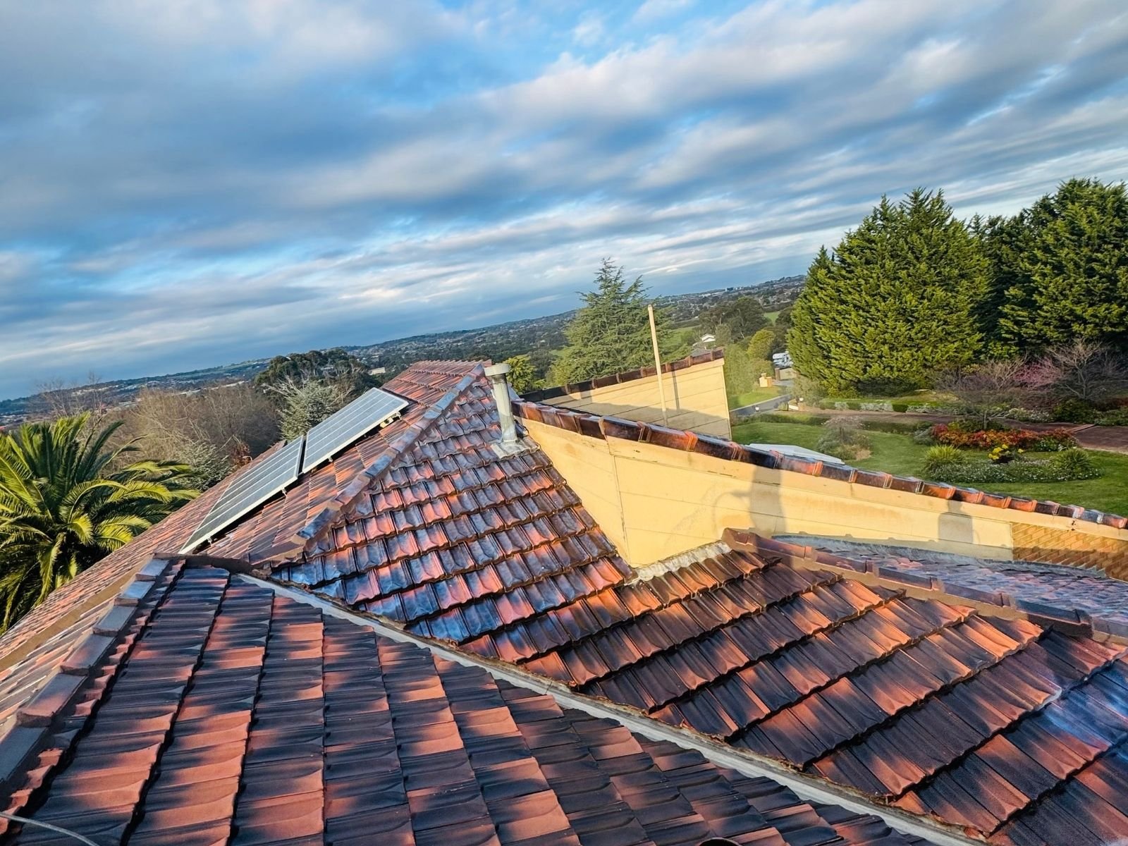 Roof cleaning